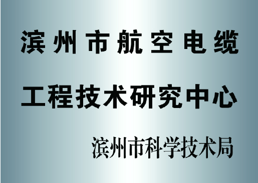 濱州市航空電纜工程技術(shù)研究中心